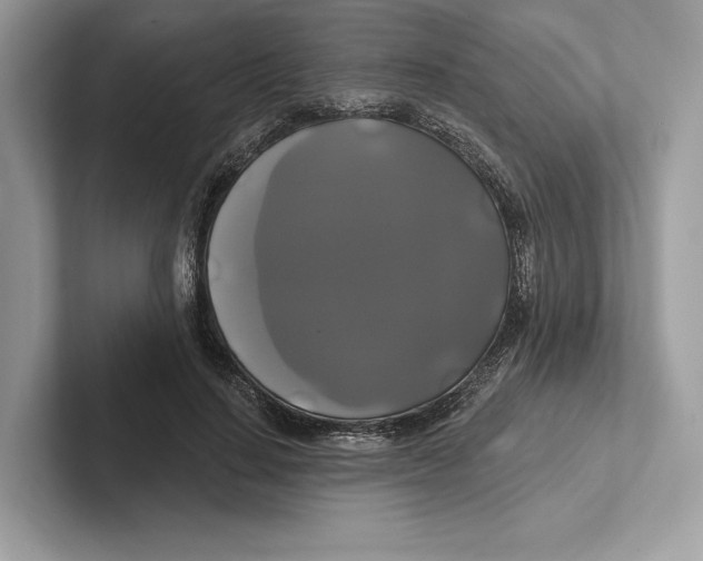 X0000100920644200807221117