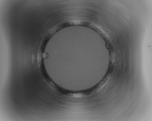 X0000100920645200807221117