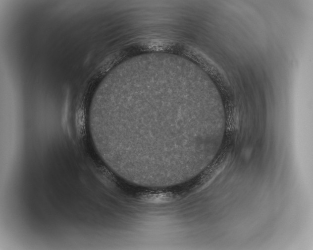 X0000100920646200807221117