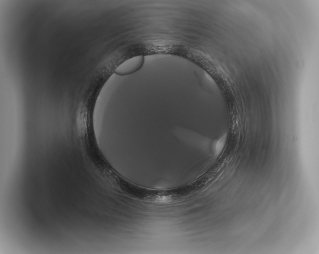 X0000100920647200807221117