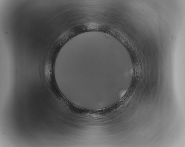X0000100920648200807221117