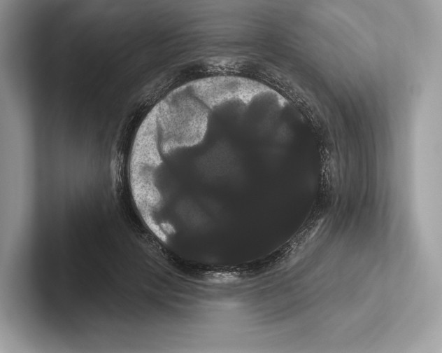 X0000100920649200807221117