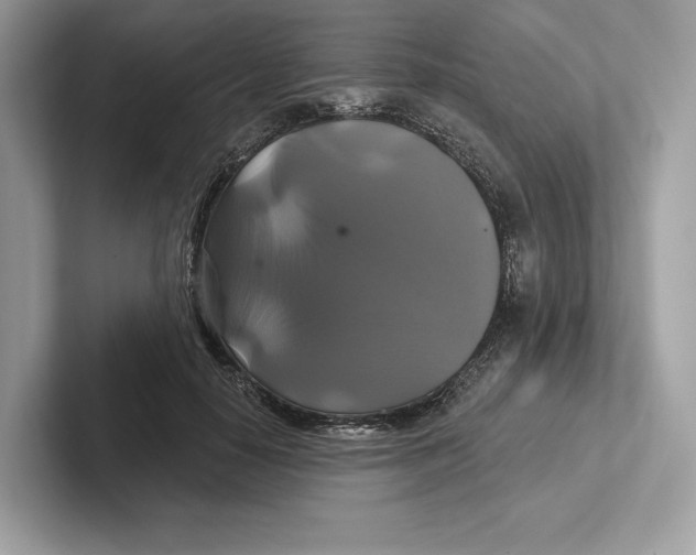 X0000100920650200807221117