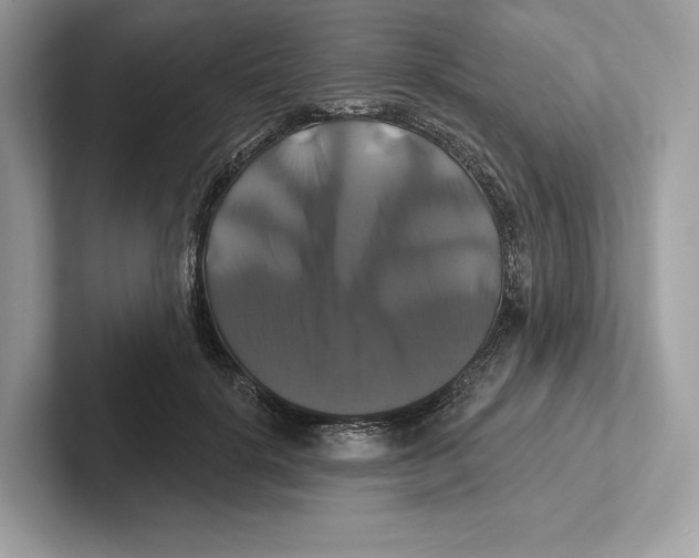 X0000100920652200807221117