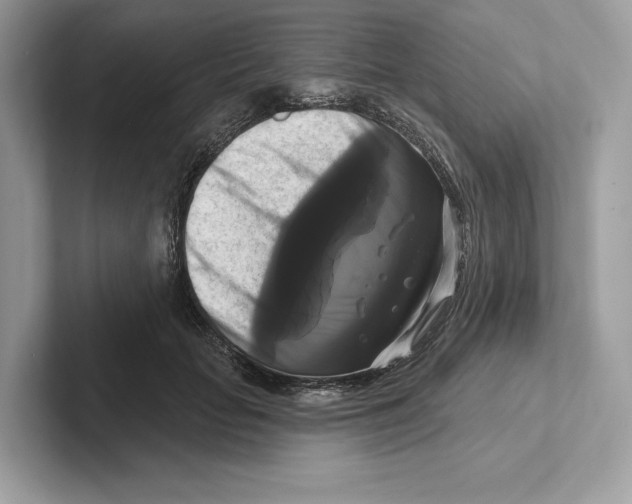X0000100920653200807221117