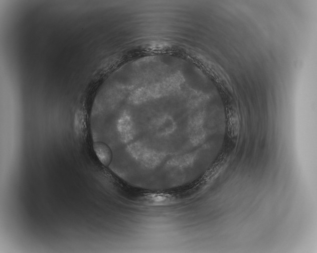 X0000100920654200807221117