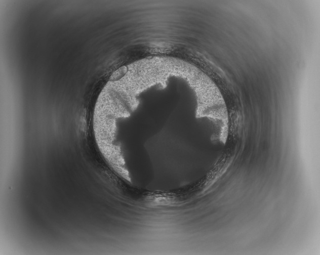 X0000100920655200807221117