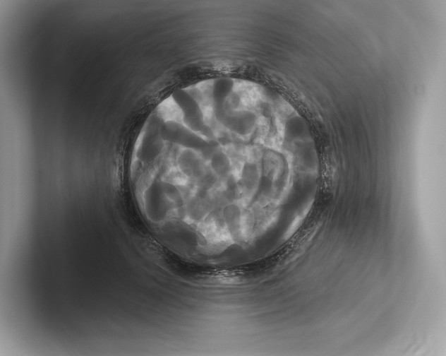 X0000100920656200807221117