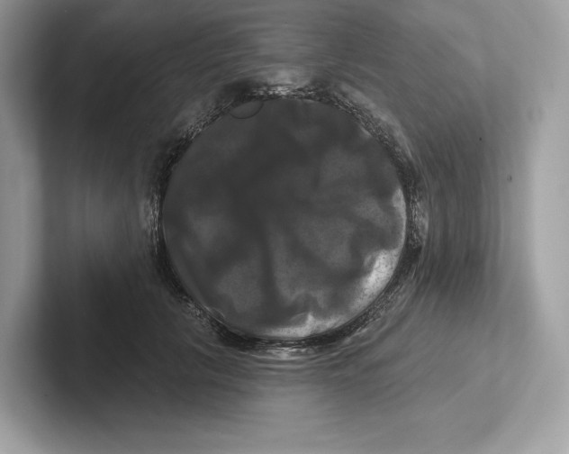 X0000100920657200807221117