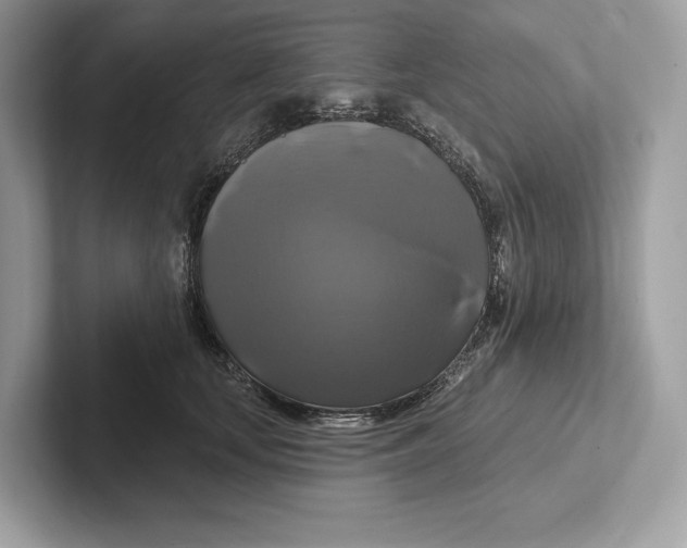 X0000100920659200807221117