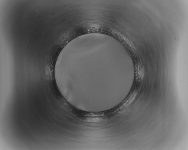 X0000100920661200807221117