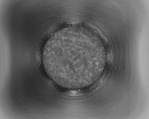 X0000100920662200807221117