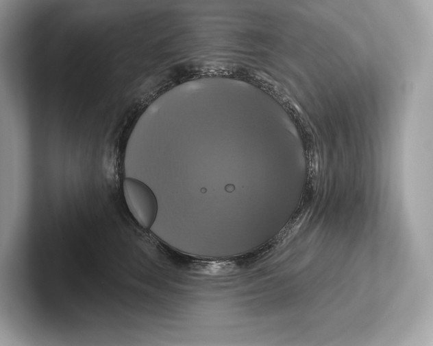 X0000100920663200807221117
