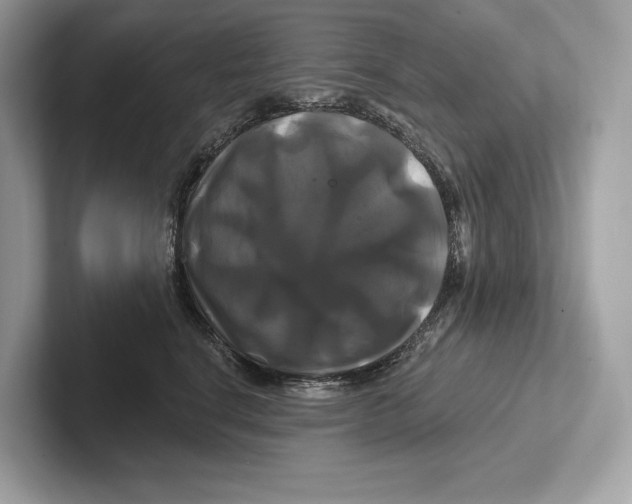 X0000100920664200807221117