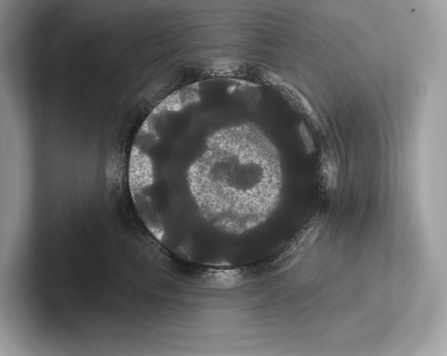 X0000100920665200807221117