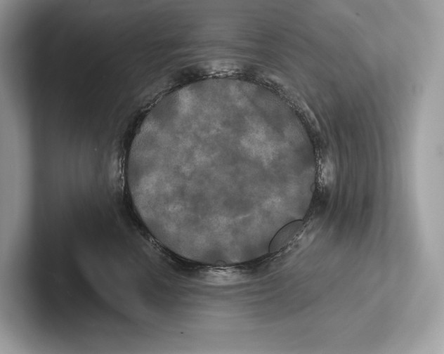 X0000100920666200807221117