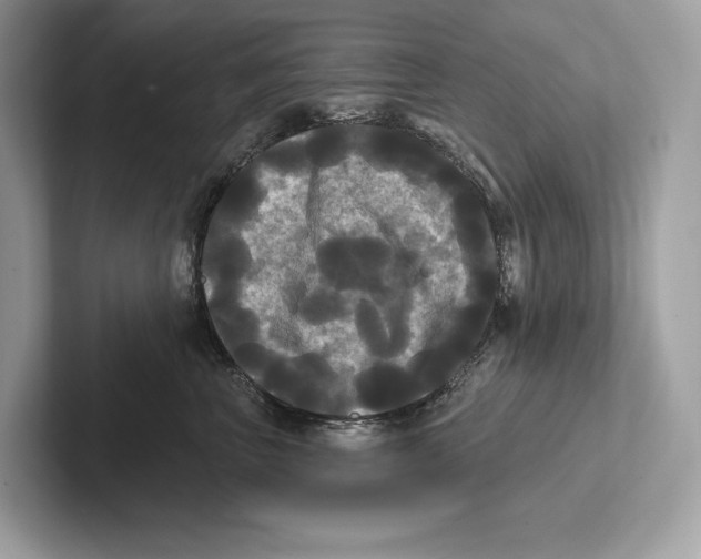 X0000100920667200807221117