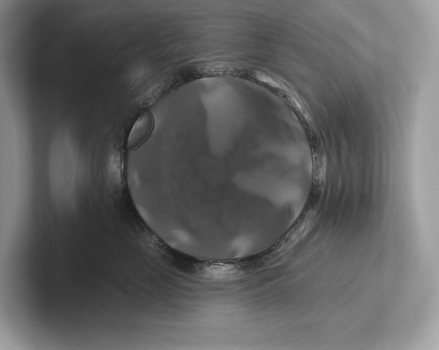 X0000100920669200807221117