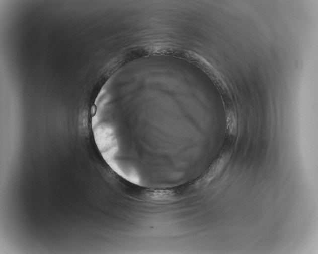 X0000100920670200807221117