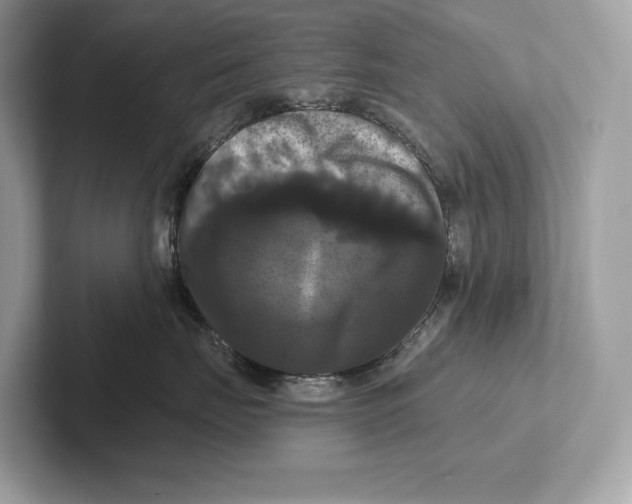 X0000100920671200807221117