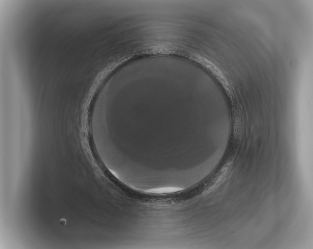 X0000100920673200807221116
