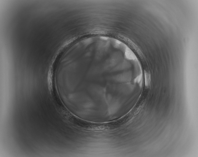 X0000100920675200807221116