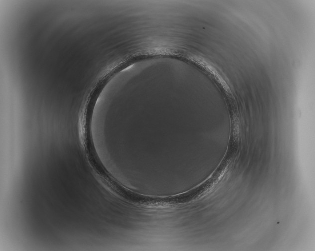 X0000100920677200807221116