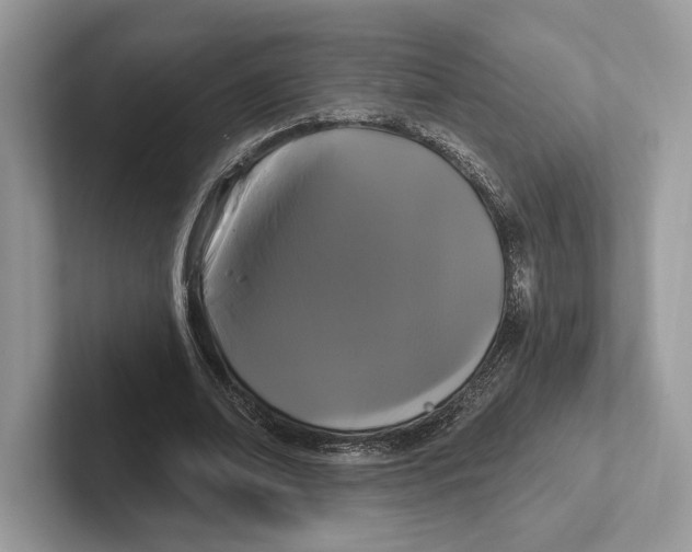 X0000100920678200807221116