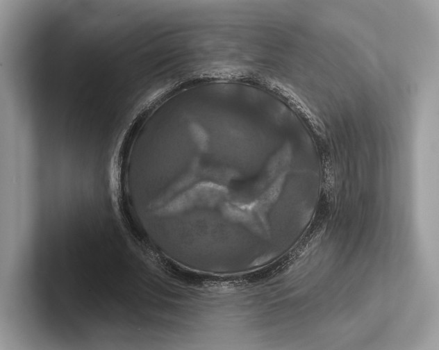 X0000100920679200807221116