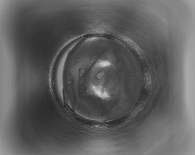 X0000100920680200807221116