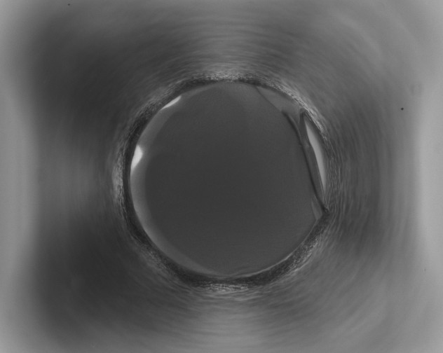 X0000100920681200807221116