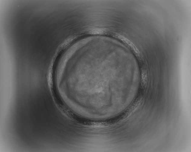 X0000100920682200807221116