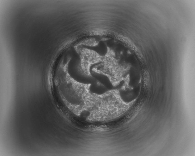 X0000100920683200807221116