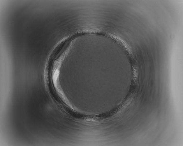 X0000100920684200807221116