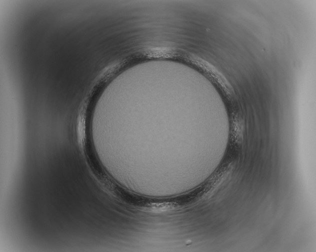 X0000100920686200807221116