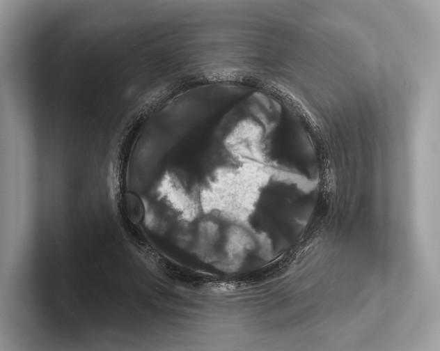 X0000100920687200807221116