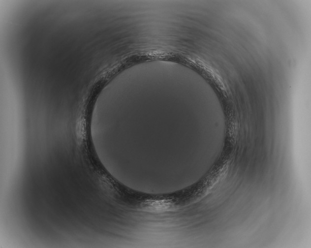 X0000100920689200807221116