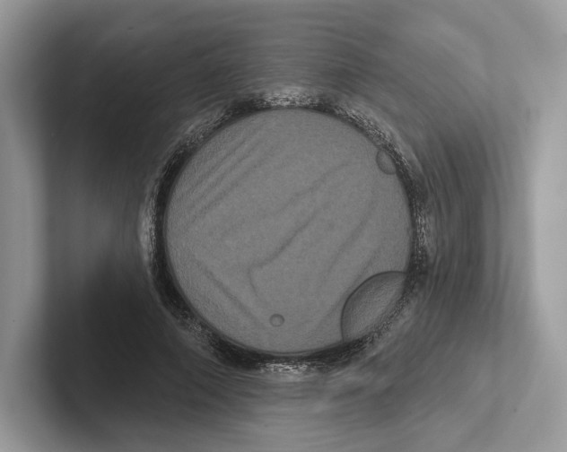 X0000100920690200807221116