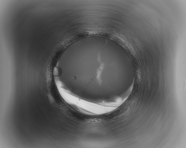 X0000100920691200807221116