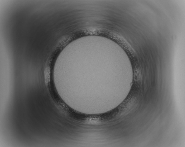 X0000100920694200807221116