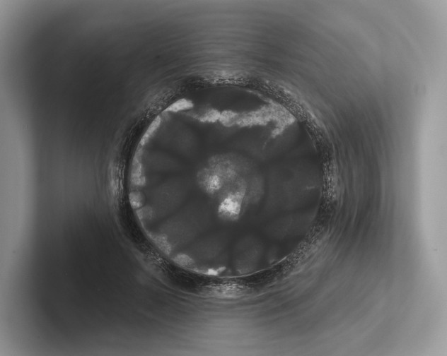 X0000100920695200807221116