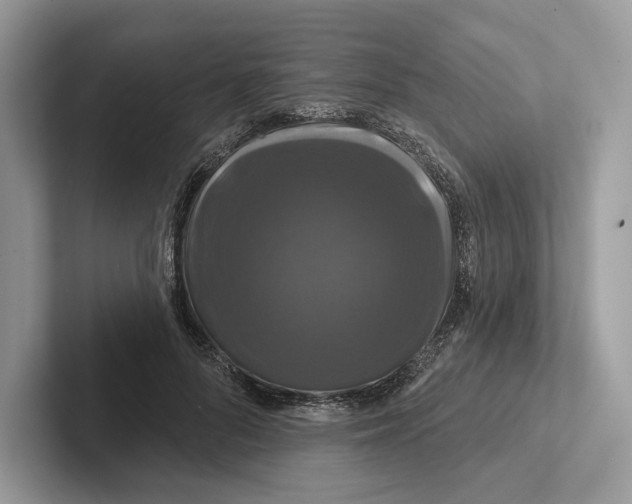 X0000100920696200807221116