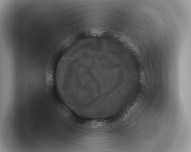 X0000100920697200807221116