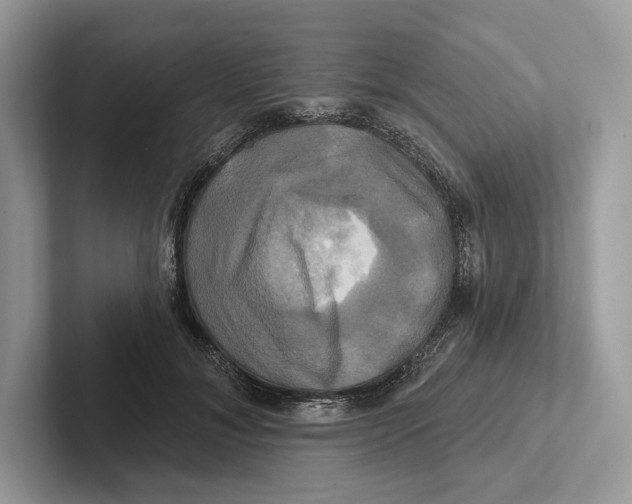 X0000100920700200807221116