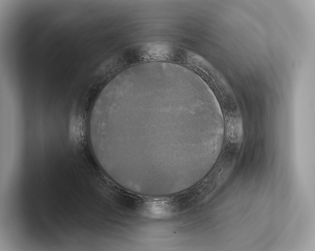 X0000100920701200807221116