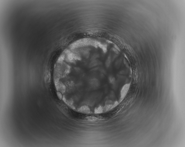 X0000100920703200807221116