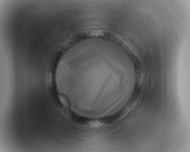 X0000100920704200807221116