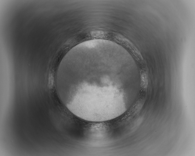 X0000100920705200807221116