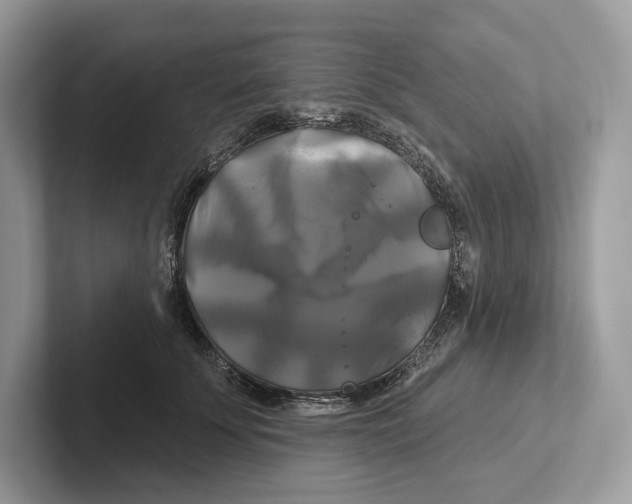 X0000100920707200807221116