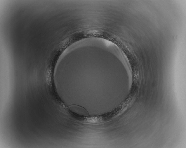 X0000100920708200807221116